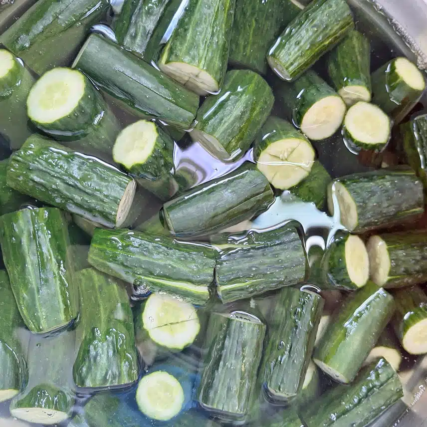 오이김치와콩나물무침!