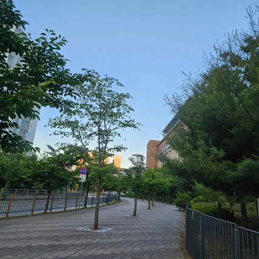 걷기운동 스타뚜♡