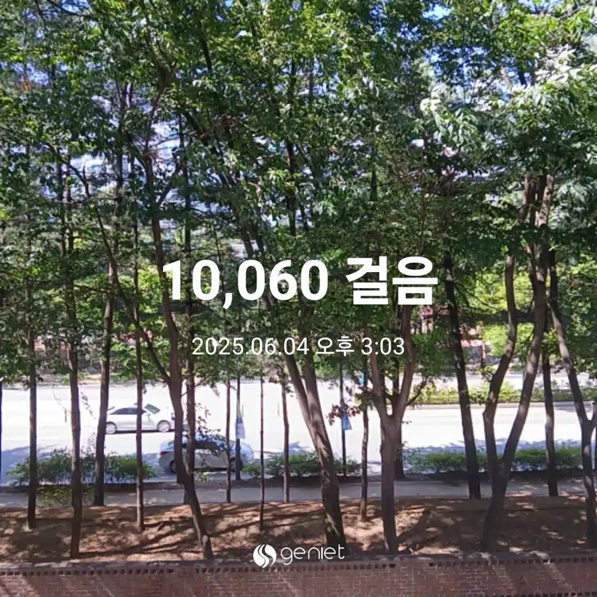 수요일 걷기운동^^