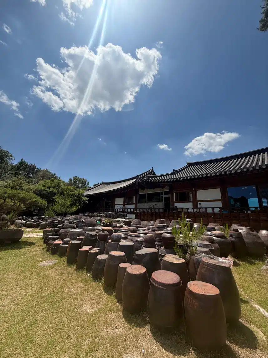 마셔요 삼다수
