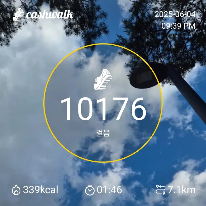 인증