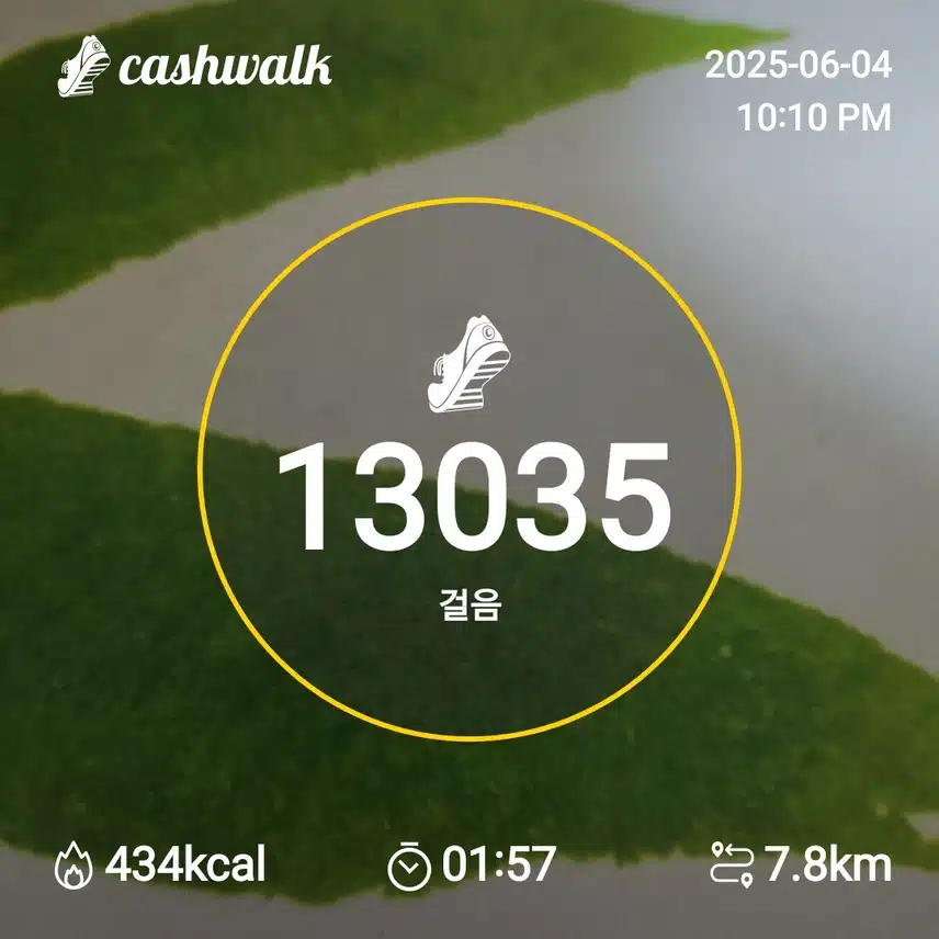 인증