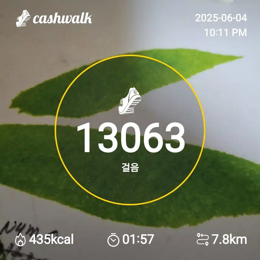 인증