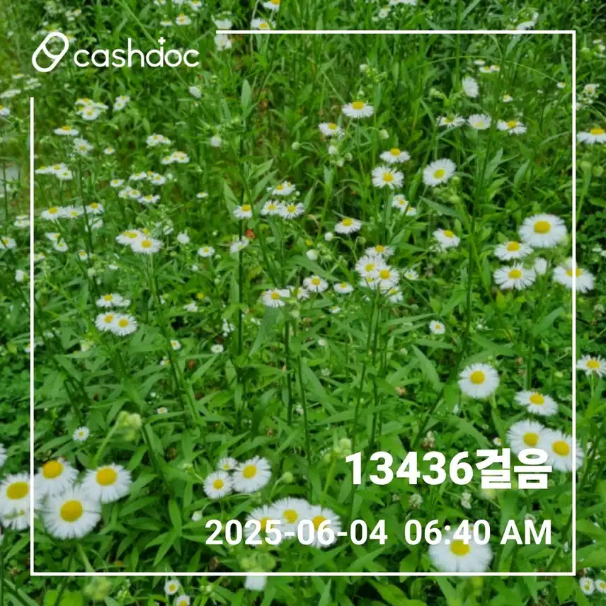    🌄새벽운동 13340걸음이에요🌄