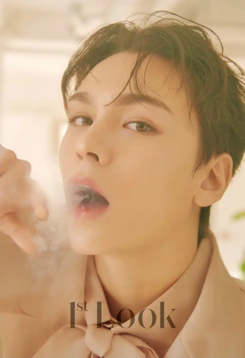 제가 제일 좋아하는 버논 화보
