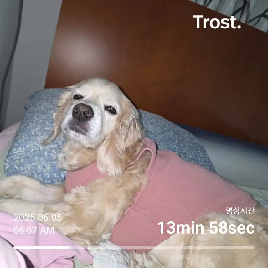 목요일 아침 