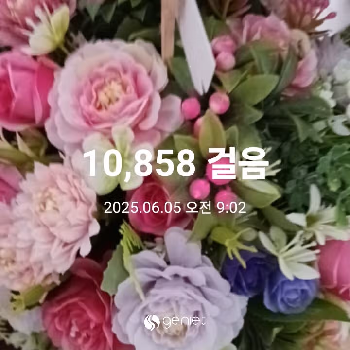 오전 운동 