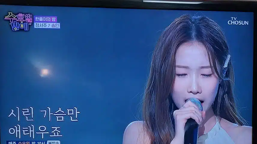 정서주양 의 송인 불렀어요