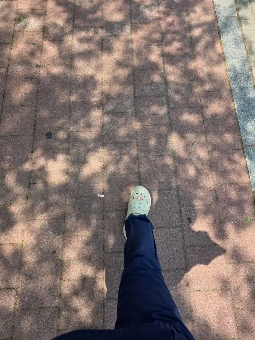 점심 후 걷기해요💪
