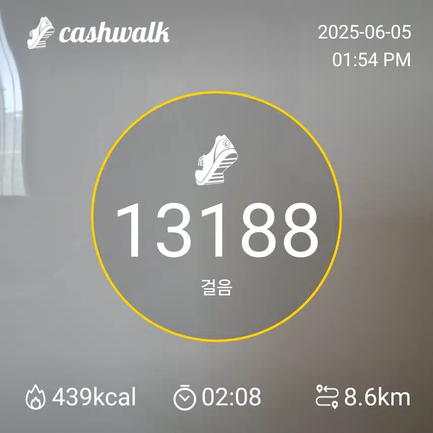 인증