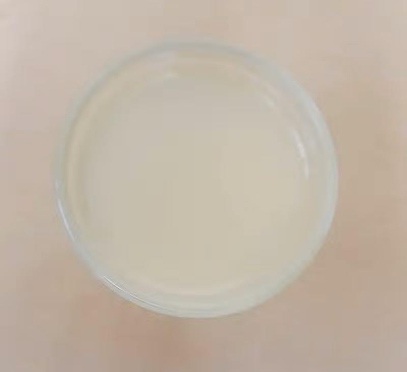 레몬수 시원하게