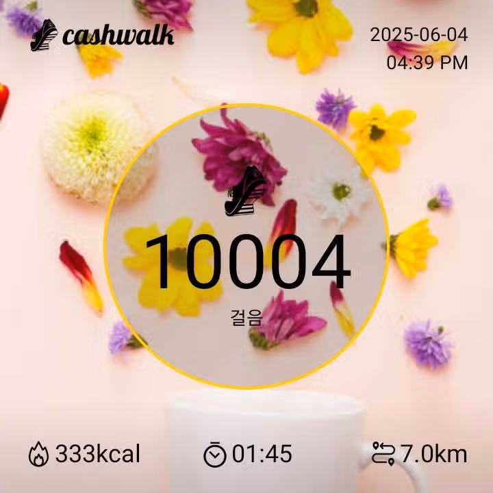 수욜만보