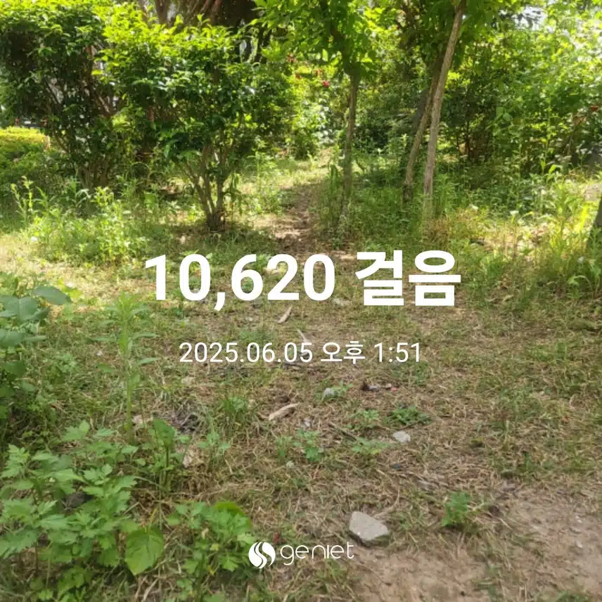 식후 걷기와 계단오르기 🏃