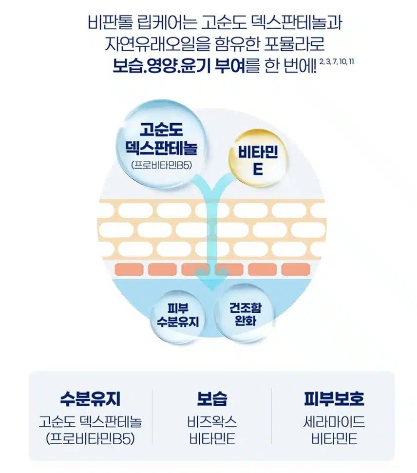 비판톨 립크림 추천해요
