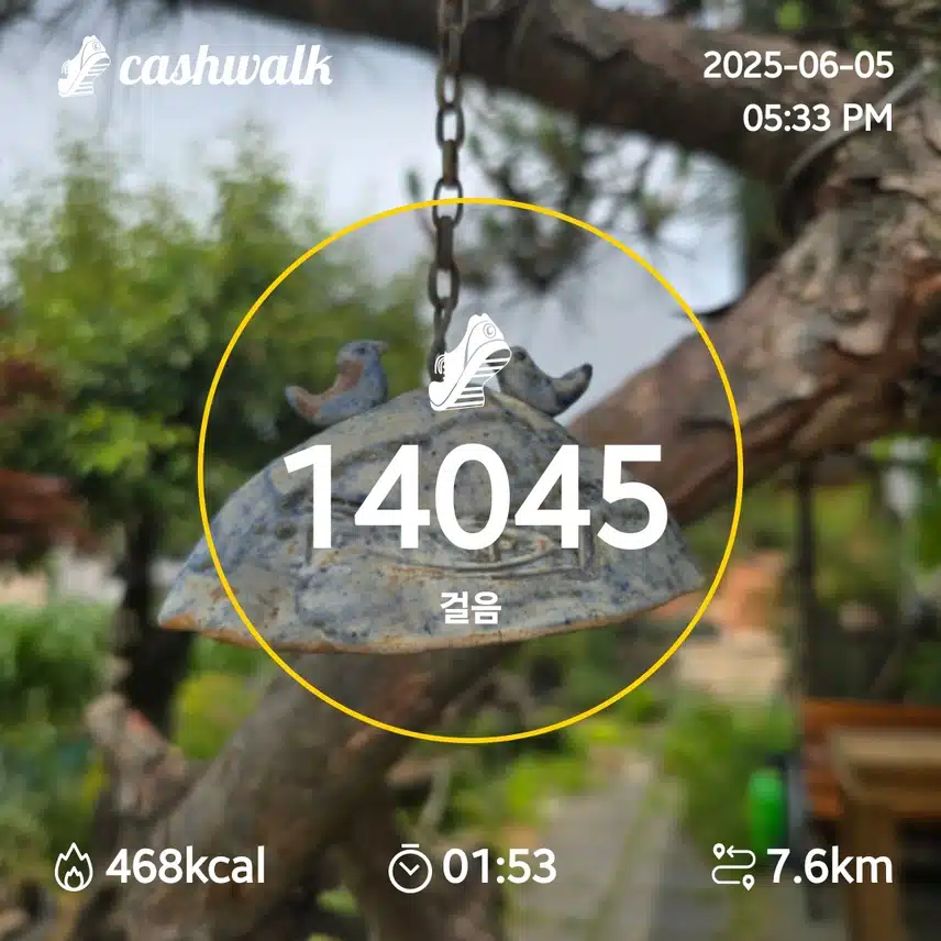 인증