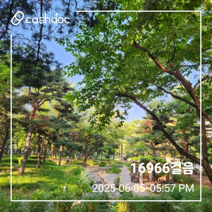목요일 만보걷기 