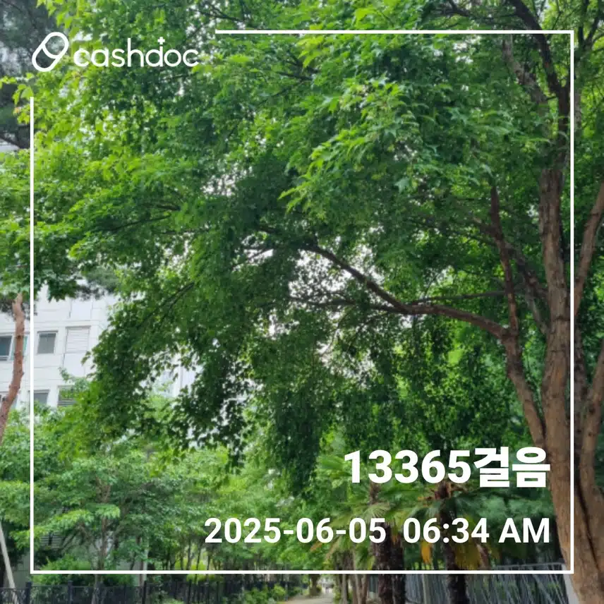   오늘도 만보걷기 새벽운동 