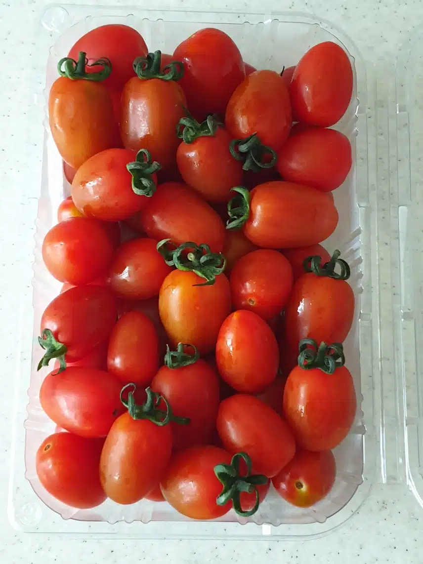 스테비아 방울토마토 