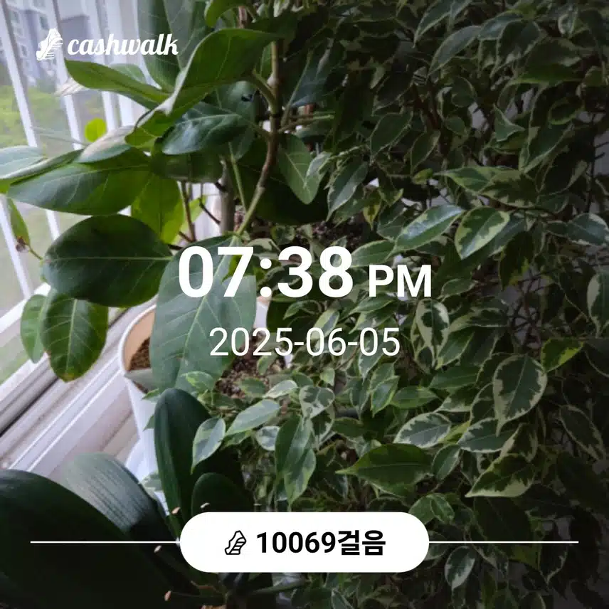 만보 걸었어요 