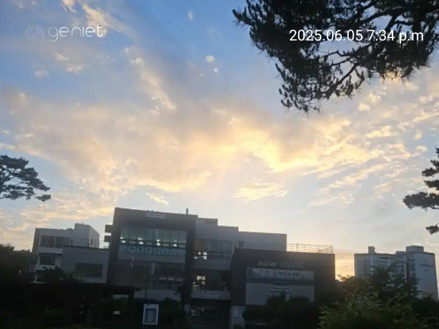 저녁 산책길 걸었네요 🏃