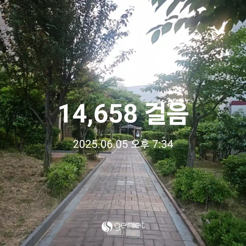 저녁 산책길 걸었네요 🏃