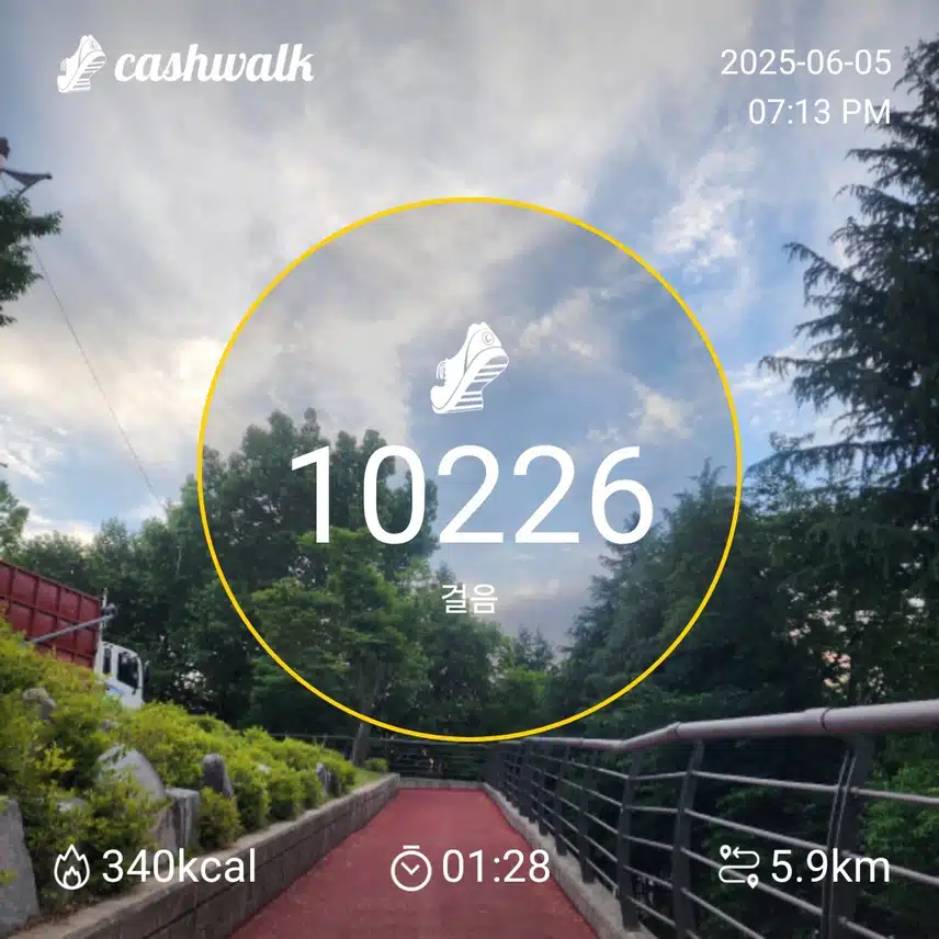 인증