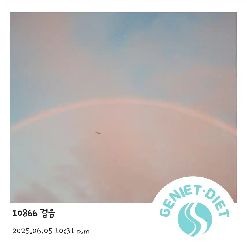 만보걷기 