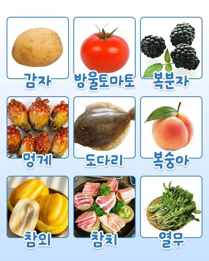6월 제철 음식 모음