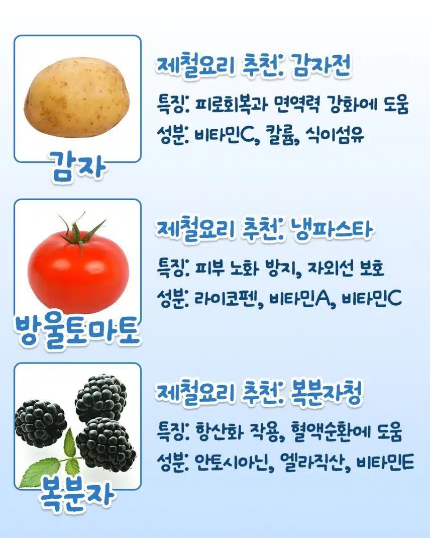 6월 제철 음식 모음