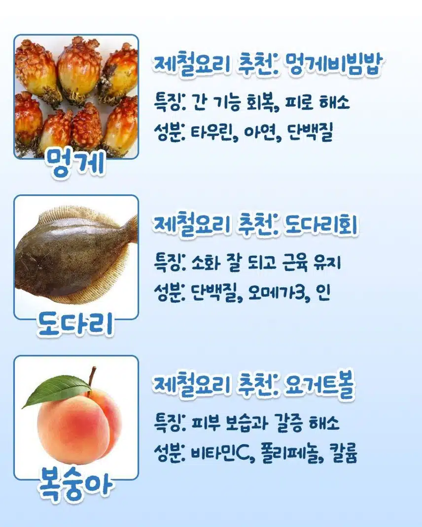 6월 제철 음식 모음
