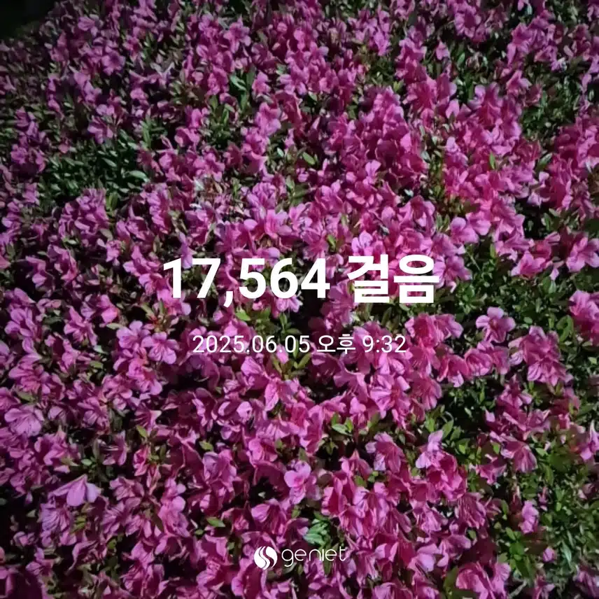 구름 속의 반달