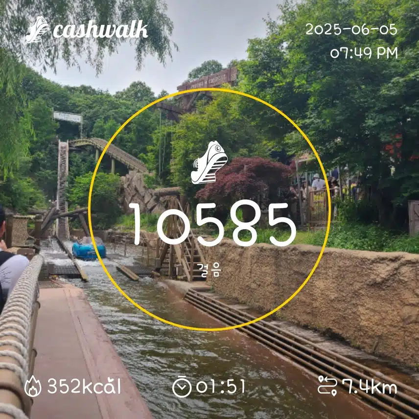 인증 