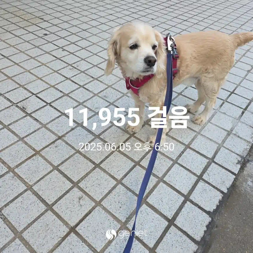 목요일 마무리