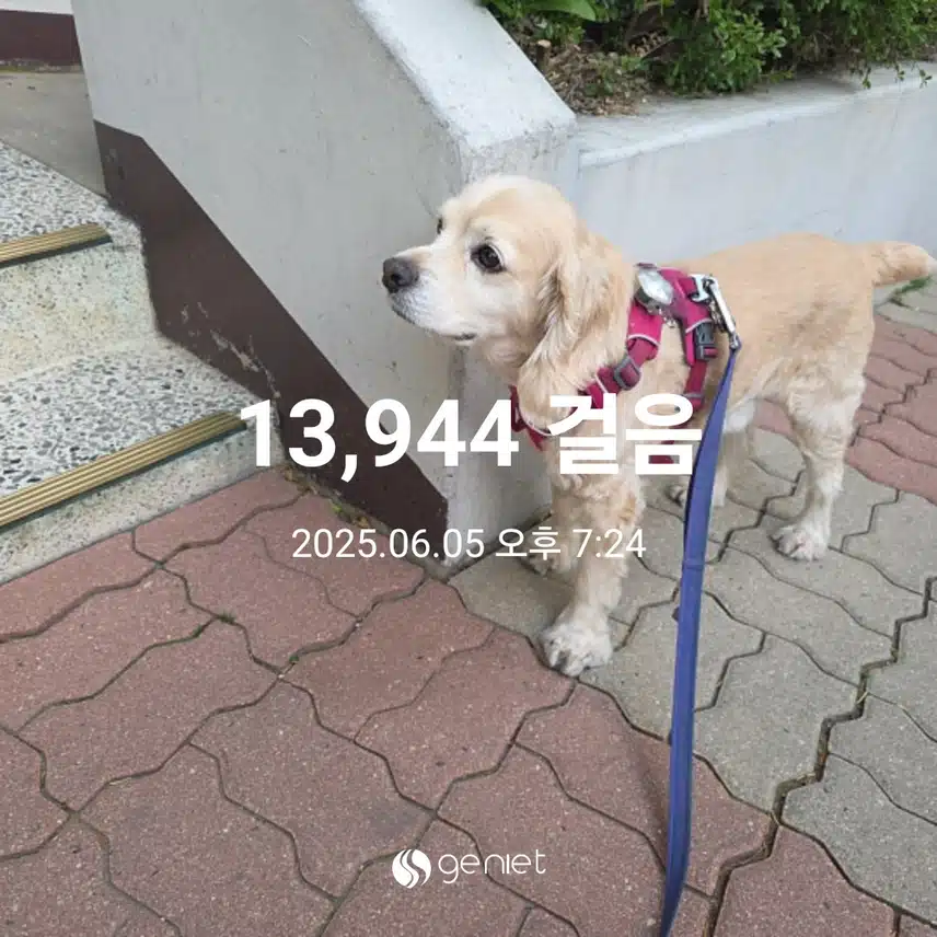 목요일 마무리