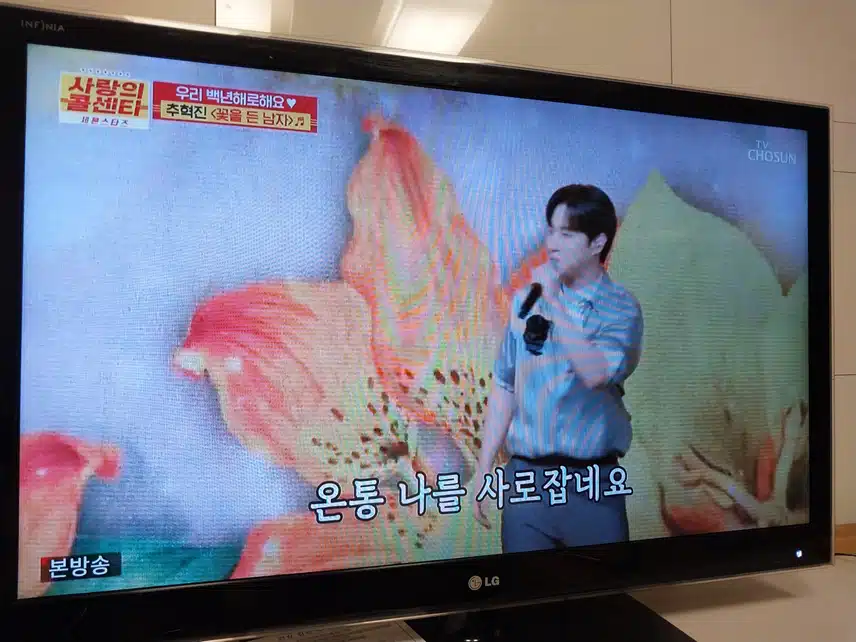 추혁진 꽃을 든 남자 무대
