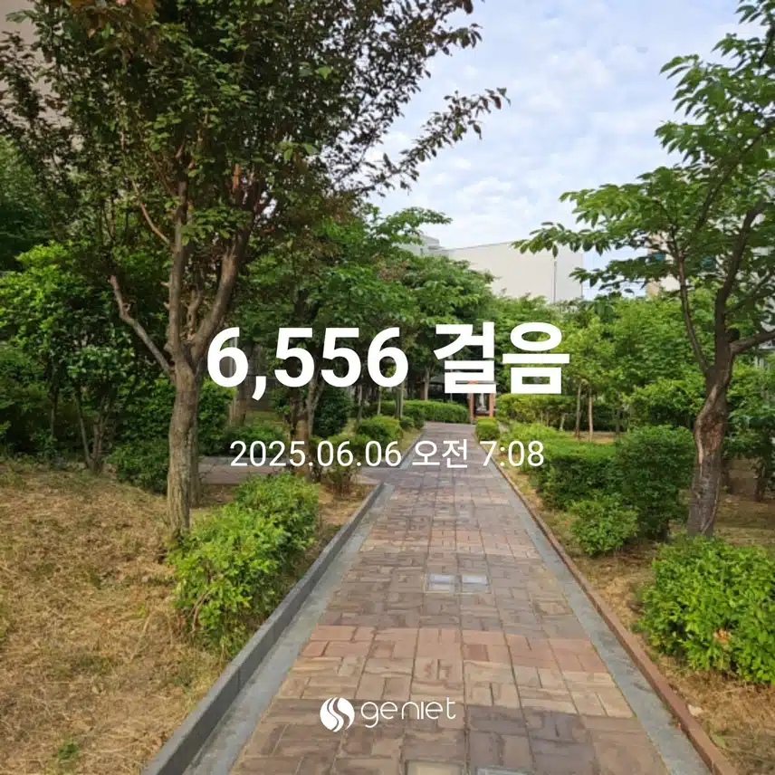 상쾌한 아침 산책길 🏃