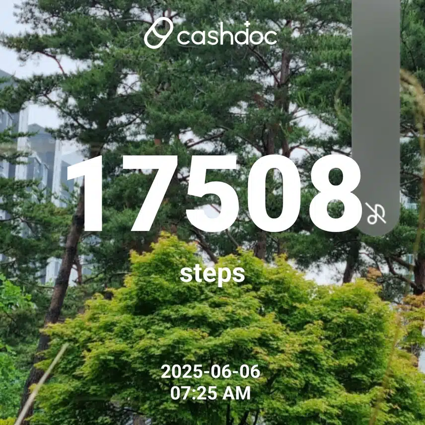    😄오늘은 좀 일찍이 다녀왔어요😄 