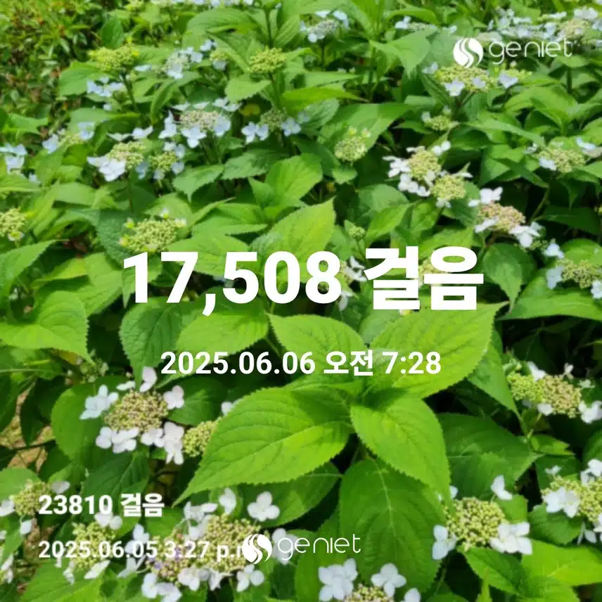   오늘도 새벽운동 