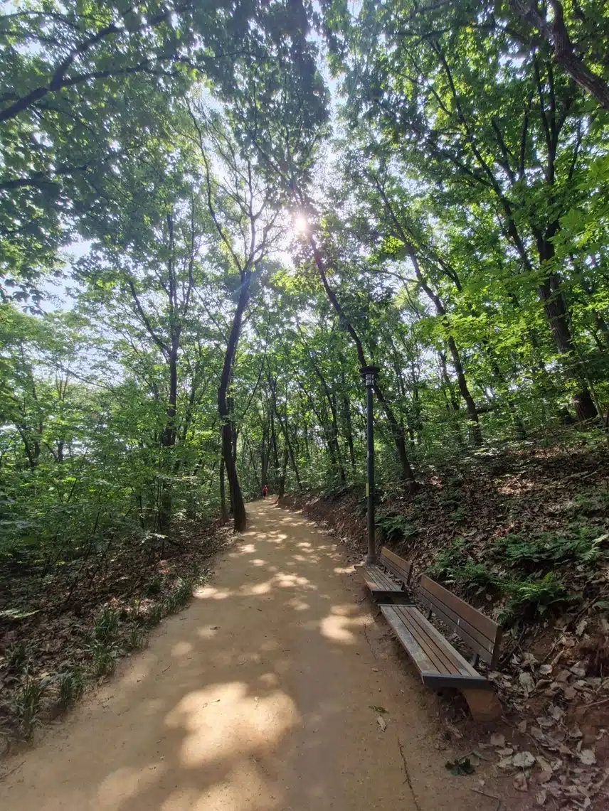 아침 산책