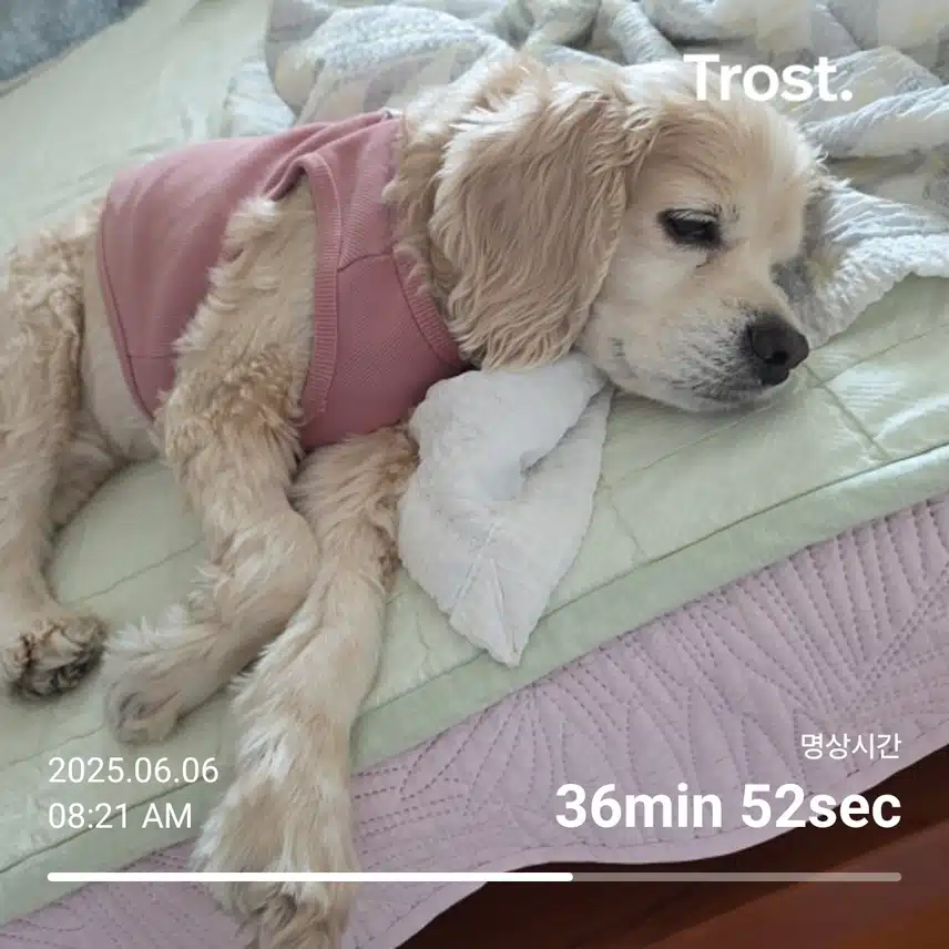 금요일 아침 