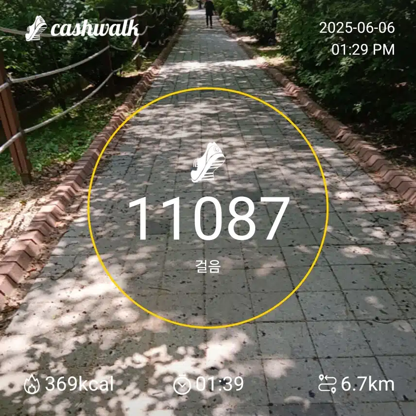 인증 