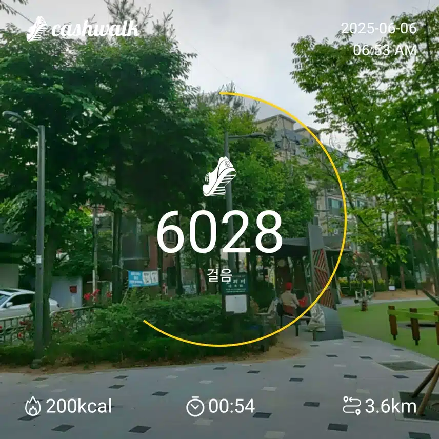 6000보 걷기