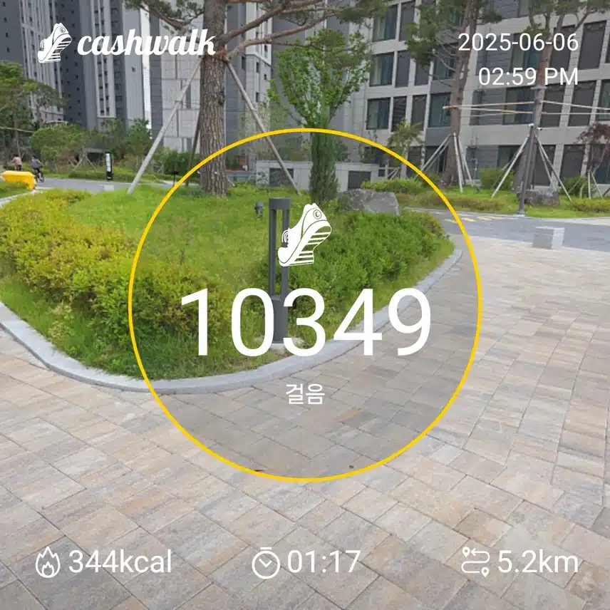 인증