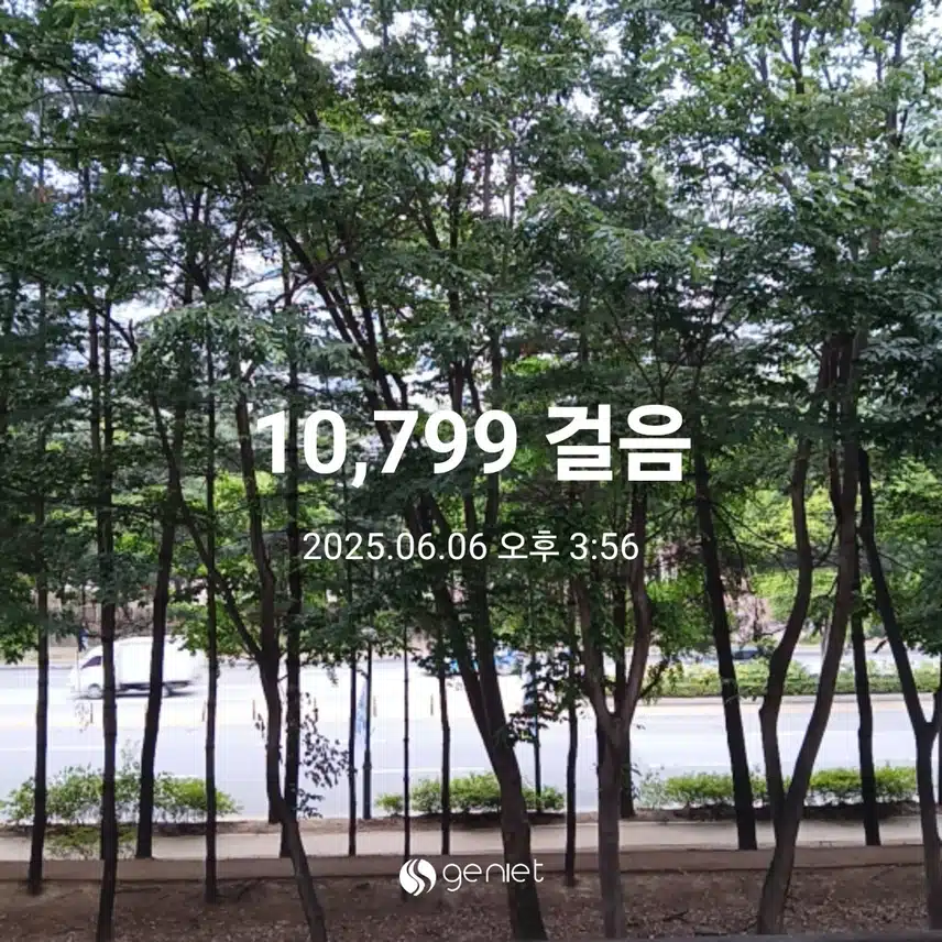 금요일 걷기운동^^