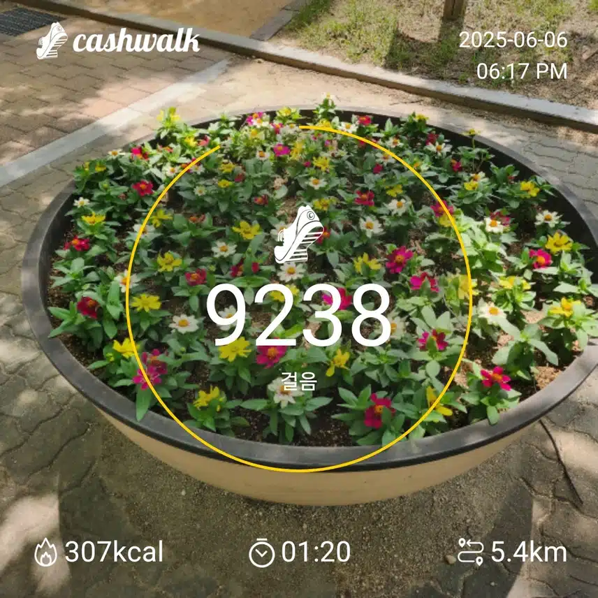 인증