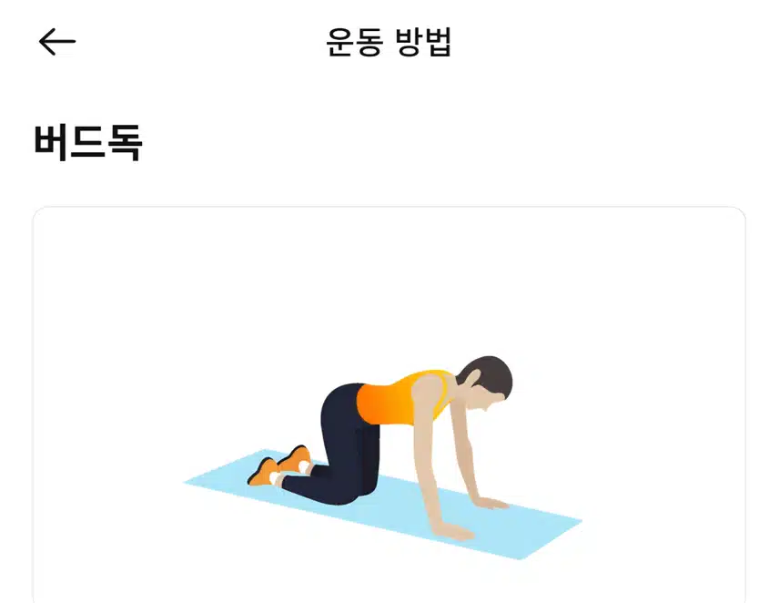 (캐시홈트) 허리통증 완화 시키는 코어운동 
