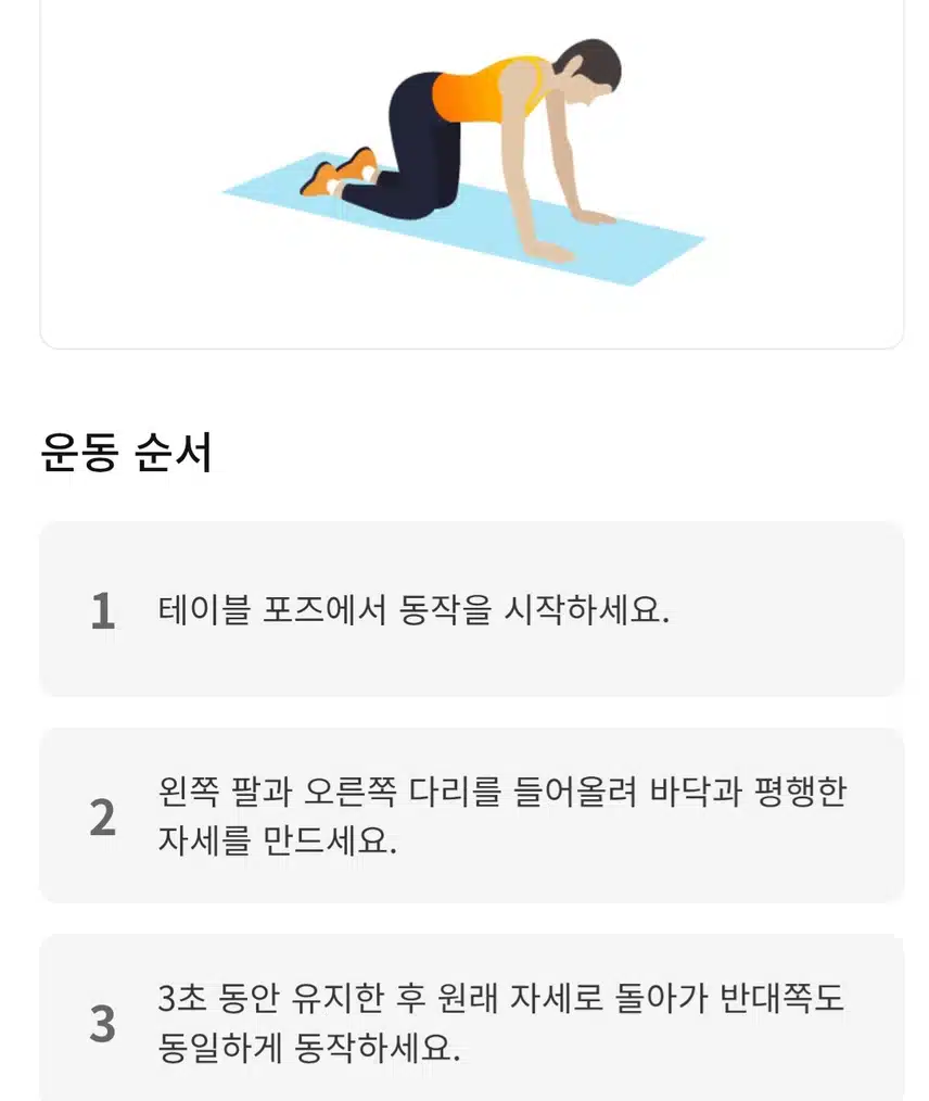(캐시홈트) 허리통증 완화 시키는 코어운동 