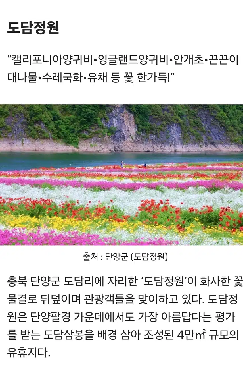 갔다 오면 후회 없는 좋은곳 도담정원