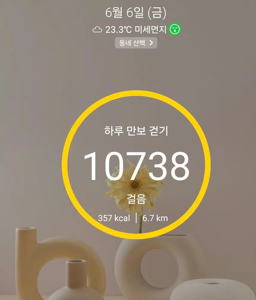 1만보 걷기 운동 