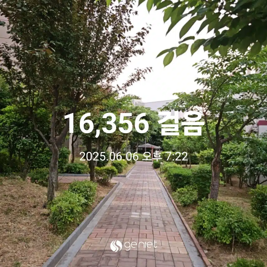 붉은 석양을 걸었어요. 🟧🟥